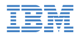 IBM logo